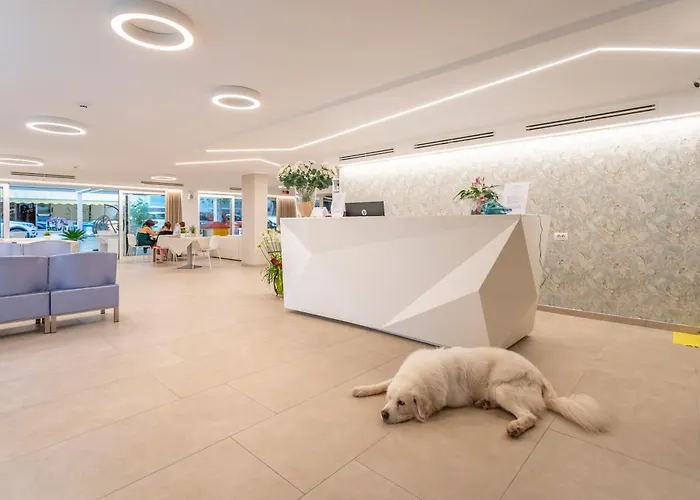 Hotel San Domingo Bellaria-Igea Marina