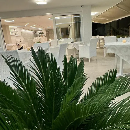 San Domingo Hotel 3*