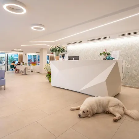 Hotel San Domingo Bellaria-Igea Marina