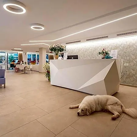 Hotel San Domingo