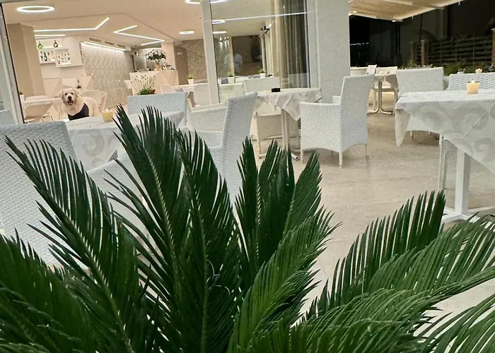 San Domingo Hotel 3*